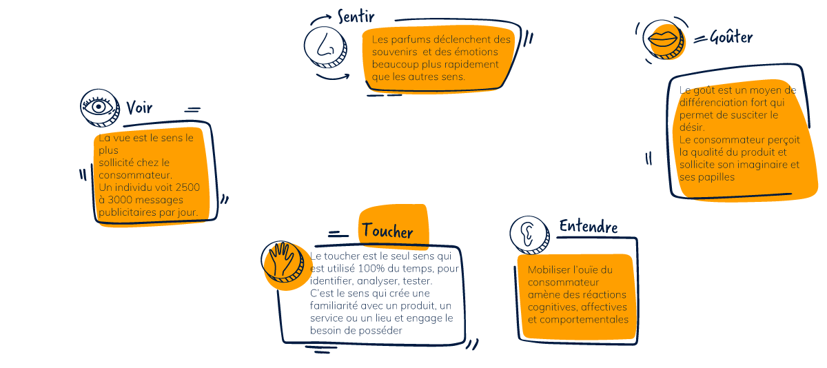 infographie-marketing-sensoriel-10-1024X534