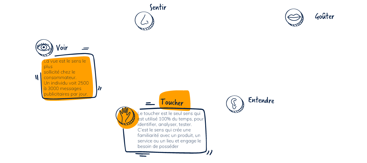 infographie-marketing-sensoriel-7-1024X534