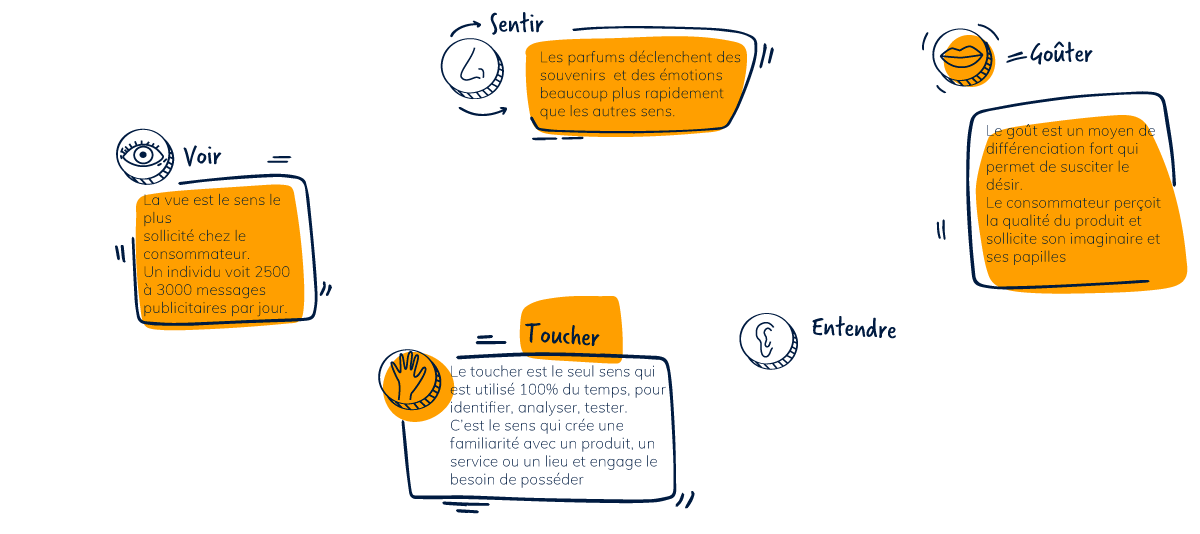 infographie-marketing-sensoriel-9-1024X534